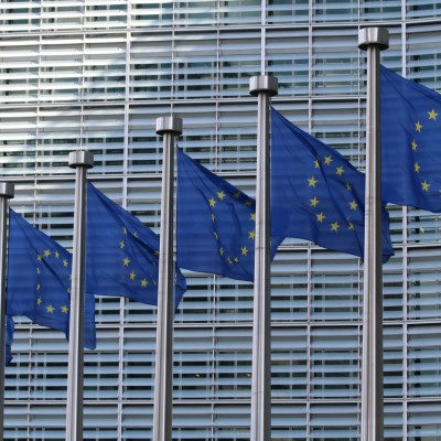 EU flags